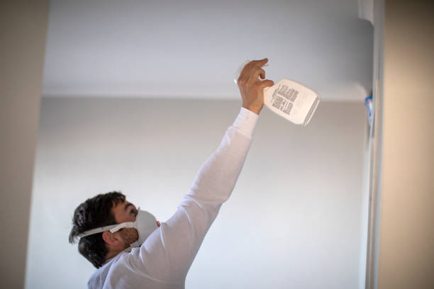 Best Fast Mold Removal  in West Puente Valley, CA